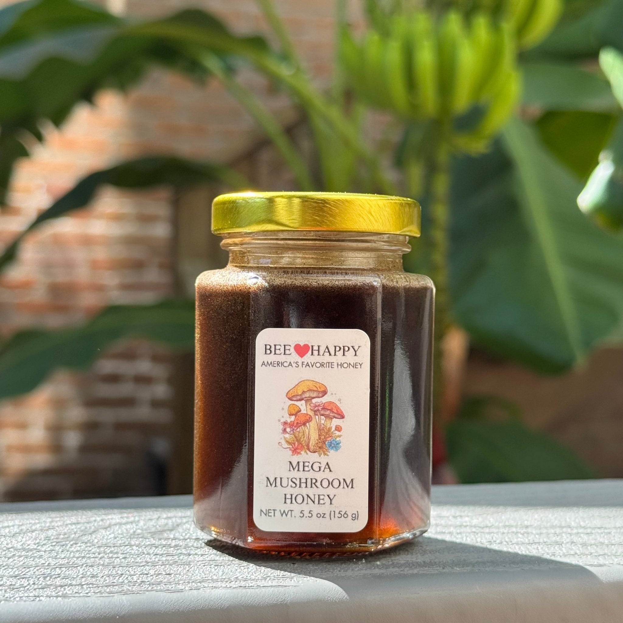 5.5 oz Jar of Mega Mushroom Honey on a surface with plants in the background