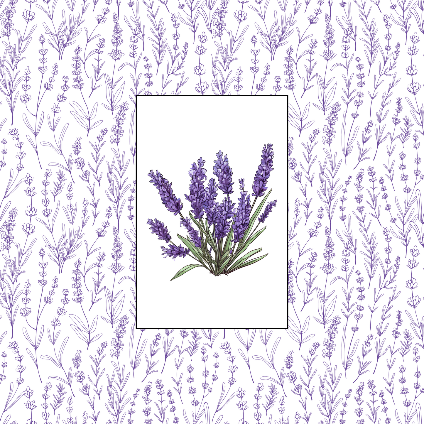 Lavender Honey