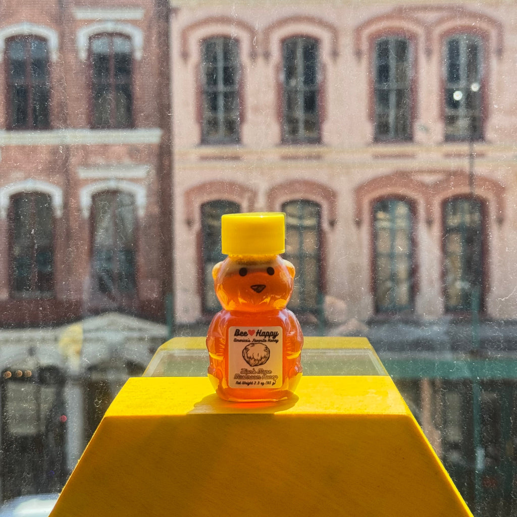 2.3 oz bear bottle of Lion's Mane Mushroom Honey on a yellow hexagon display with a window overlooking a building in the back