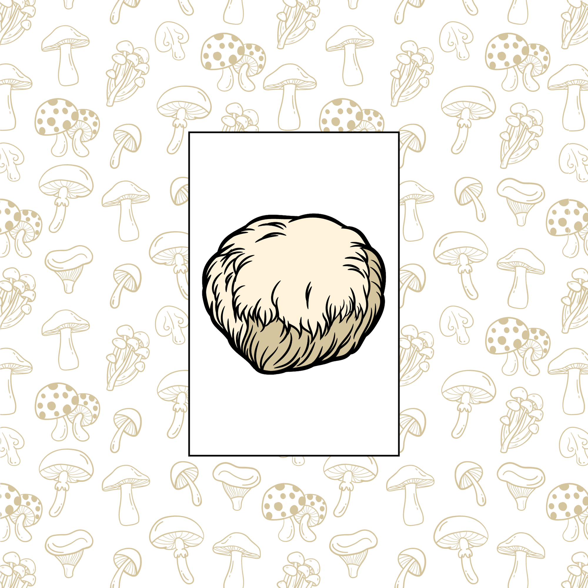 Lion's Mane Mushroom Honey