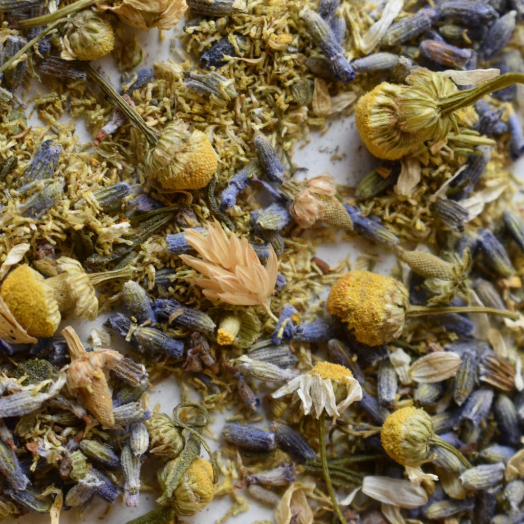 Close-up of lavender and chamomile on a white surface